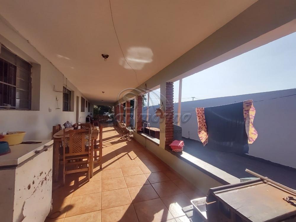Casas / Ed&iacute;cula em Jaboticabal - foto 12