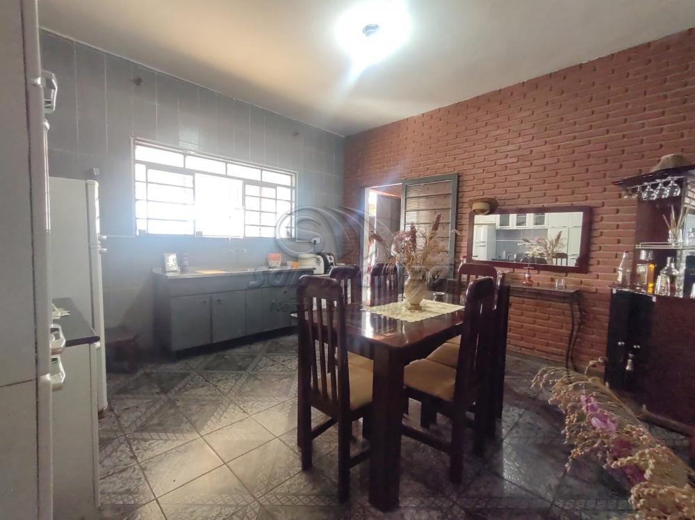Casas / Ed&iacute;cula em Jaboticabal - foto 4
