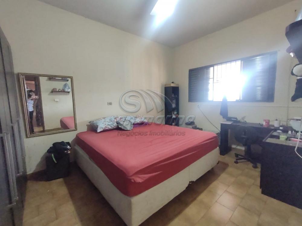 Casas / Ed&iacute;cula em Jaboticabal - foto 9