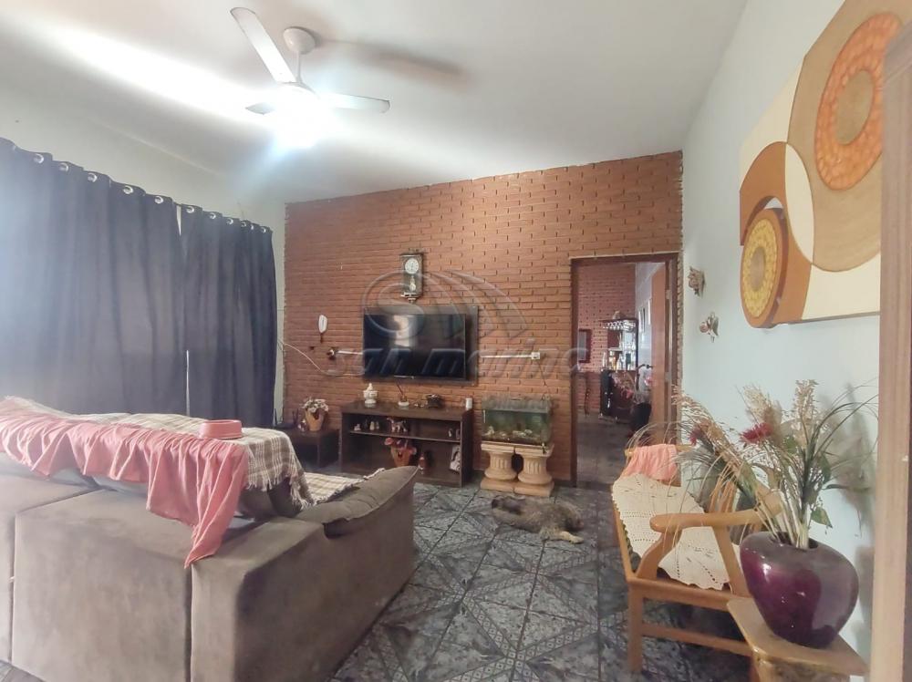 Casas / Ed&iacute;cula em Jaboticabal - foto 1