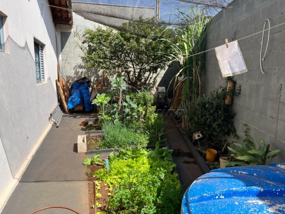 Casas / Padr&atilde;o em Jaboticabal - foto 12