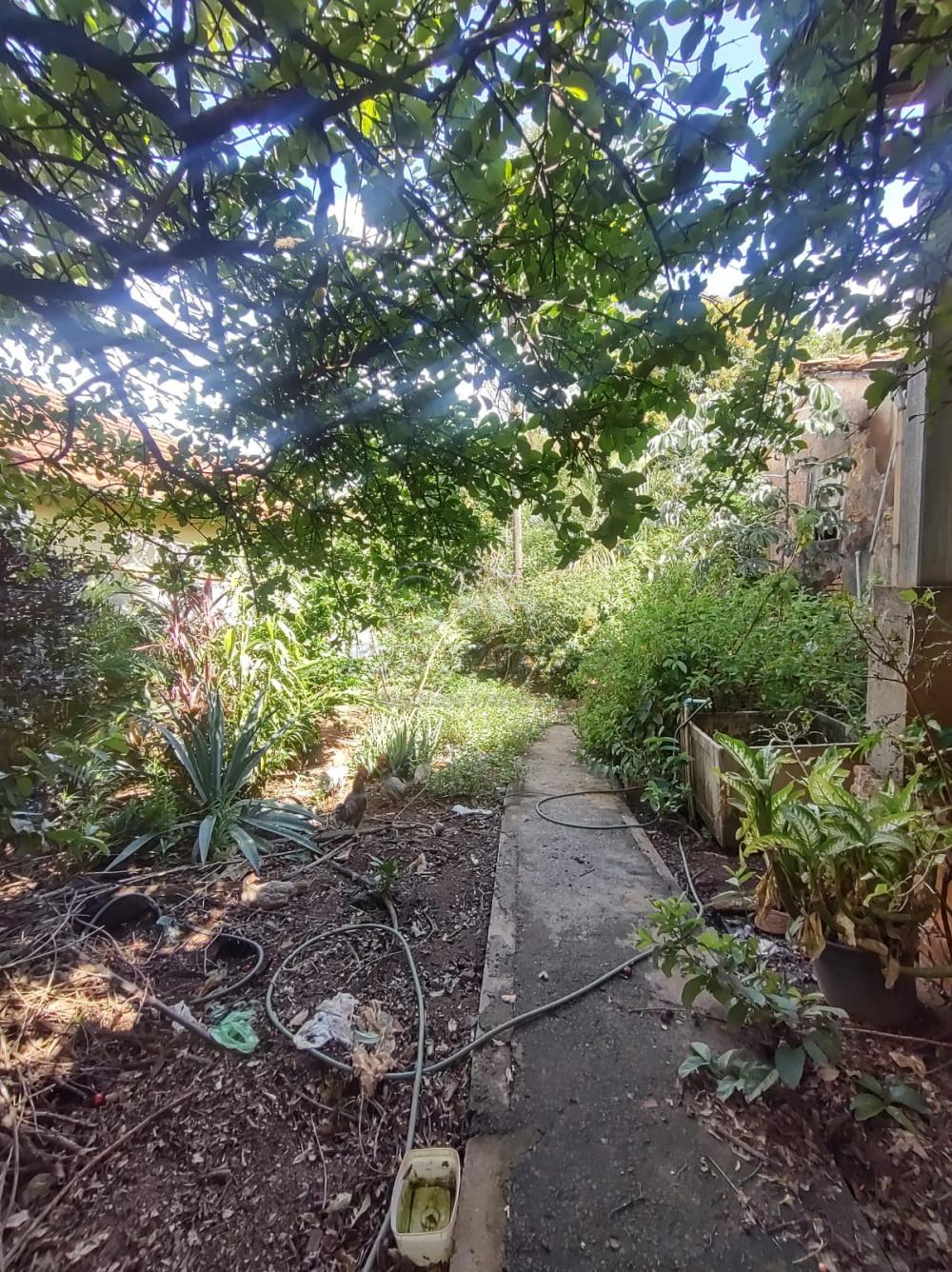 Casas / Padr&atilde;o em Jaboticabal - foto 2