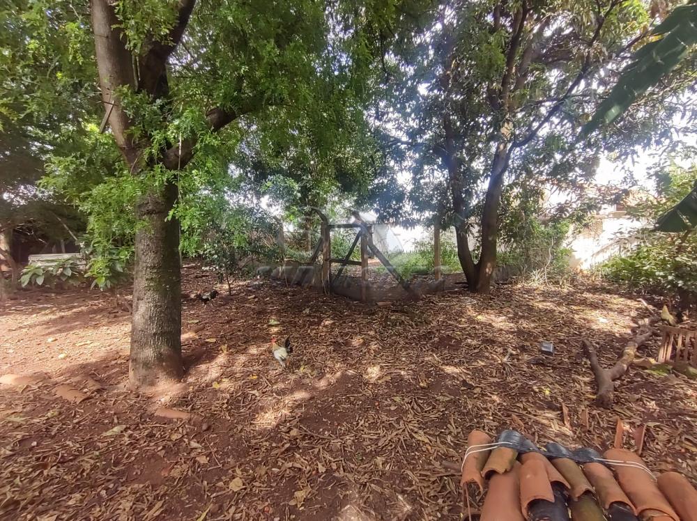 Casas / Padr&atilde;o em Jaboticabal - foto 1