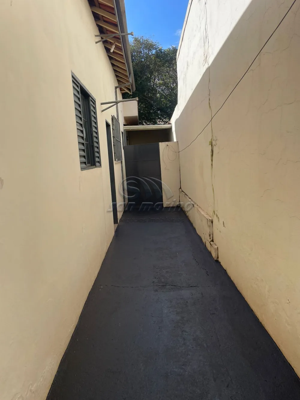 Casas / Padr&atilde;o em Jaboticabal - foto 1