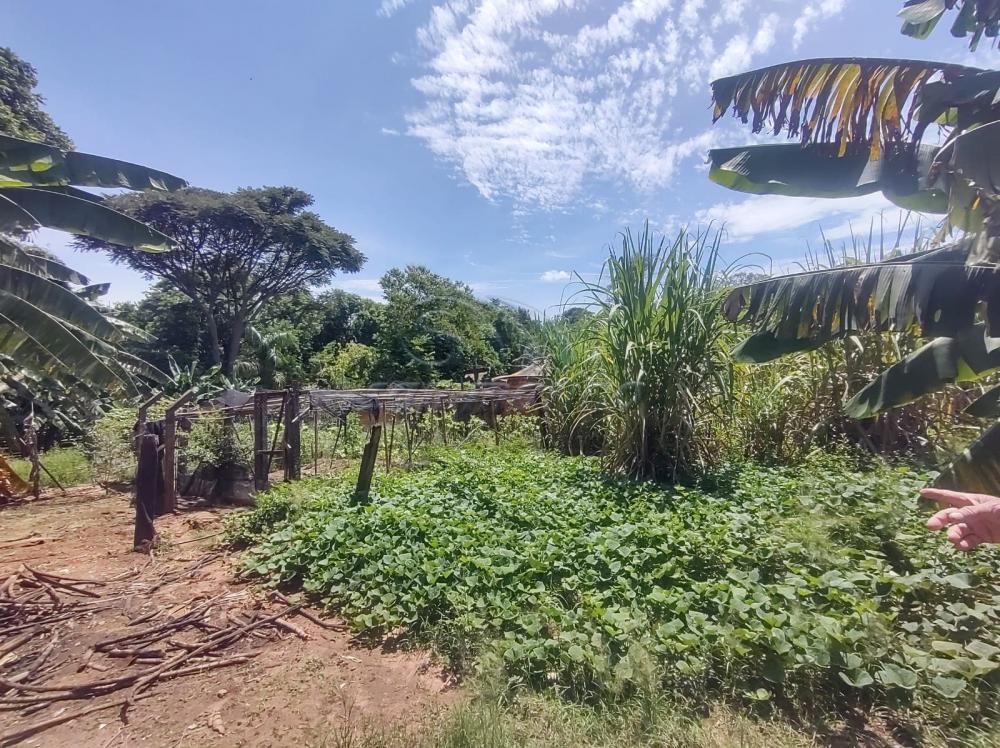 Ch&aacute;caras / Urbana em Jaboticabal - foto 18