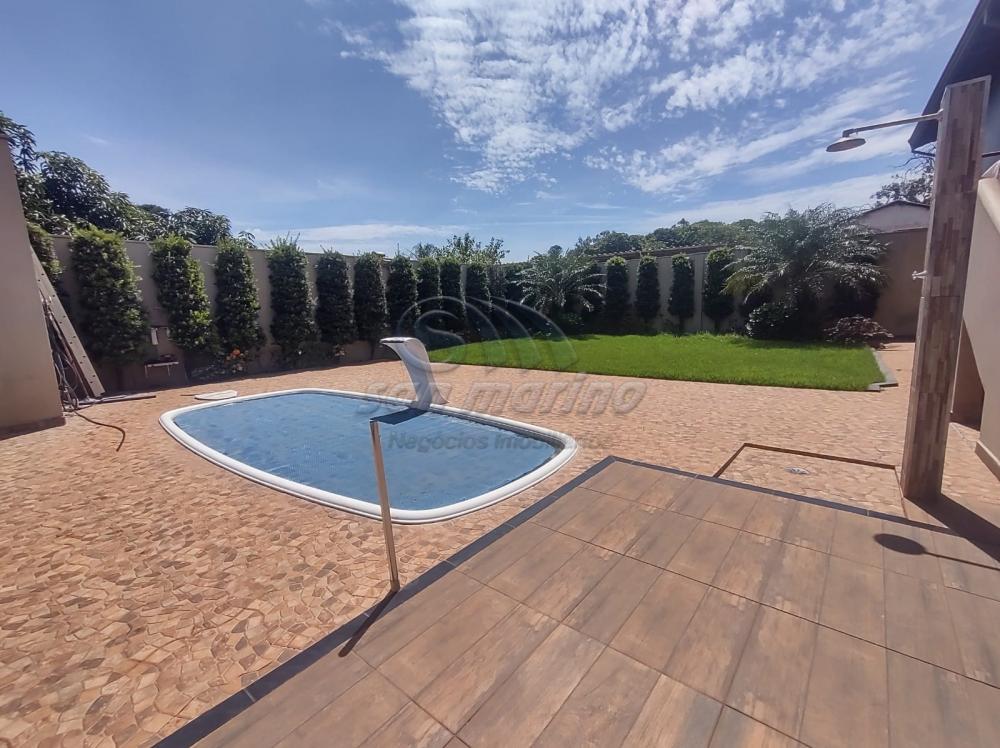 Ch&aacute;caras / Urbana em Jaboticabal - foto 0