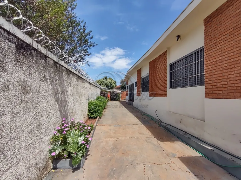 Casas / Padr&atilde;o em Jaboticabal - foto 29