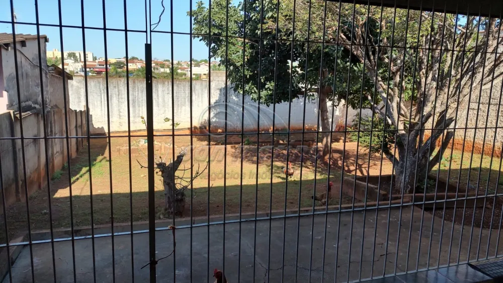 Casas / Padr&atilde;o em Jaboticabal - foto 2