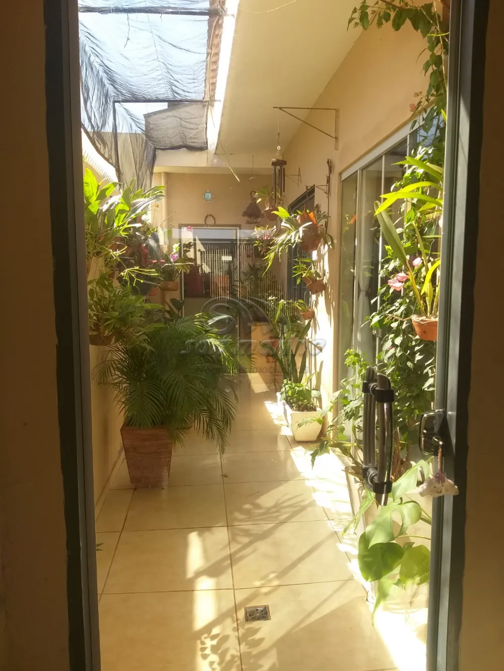 Casas / Padr&atilde;o em Jaboticabal - foto 3