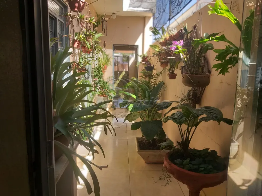 Casas / Padr&atilde;o em Jaboticabal - foto 4