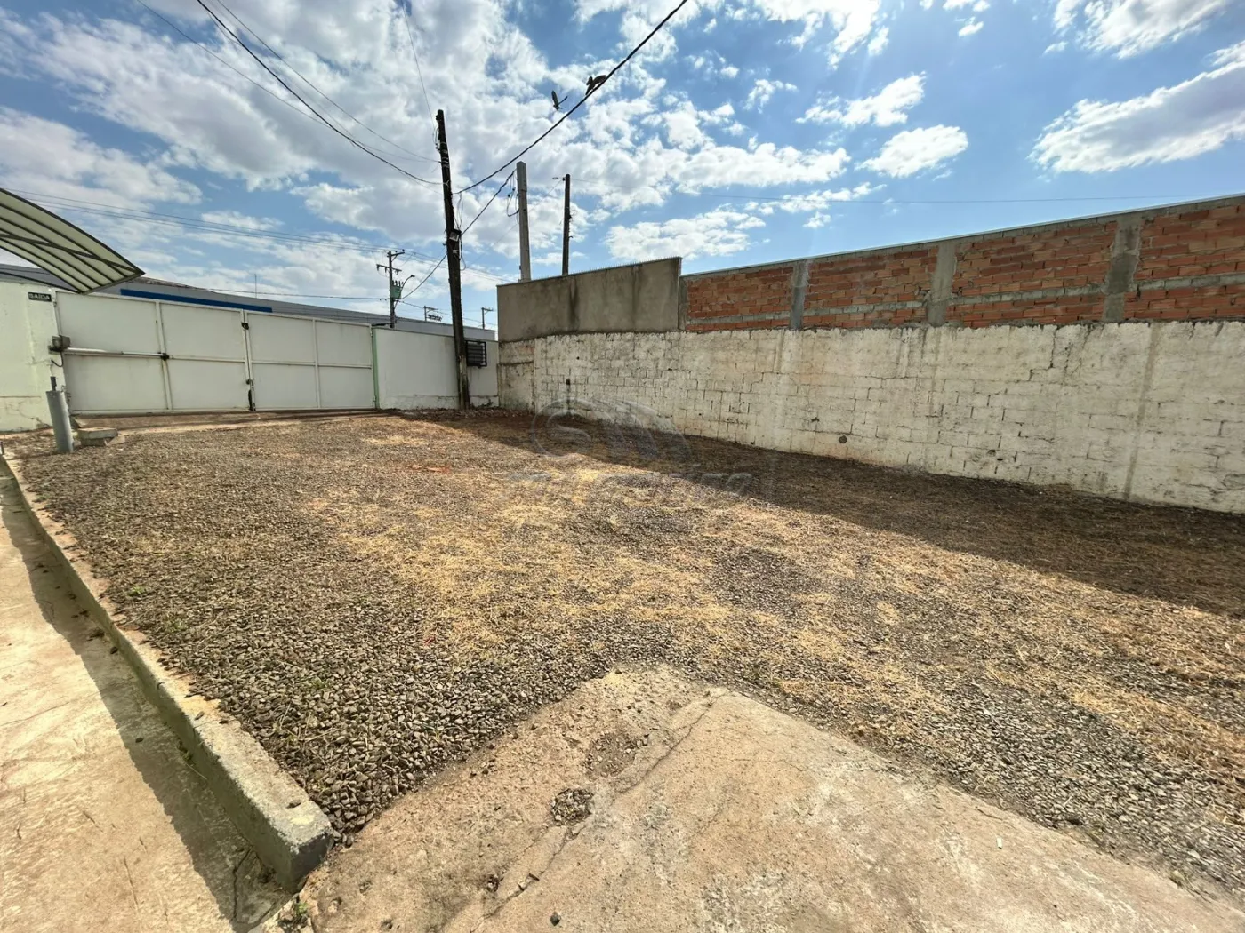 Comerciais / Galpão em Jaboticabal - foto 15