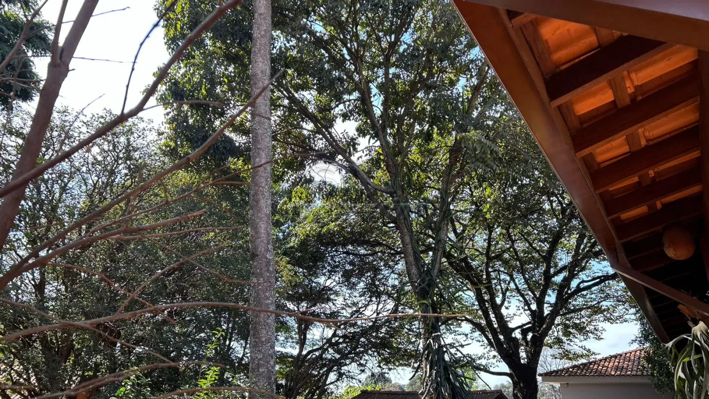 Casas / Padr&atilde;o em Monte Alto - foto 46