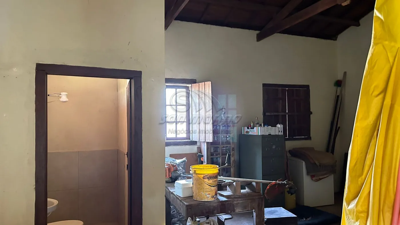 Casas / Padr&atilde;o em Monte Alto - foto 73