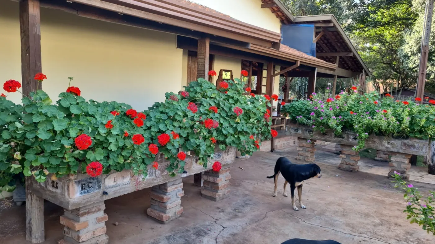 Casas / Padr&atilde;o em Monte Alto - foto 78