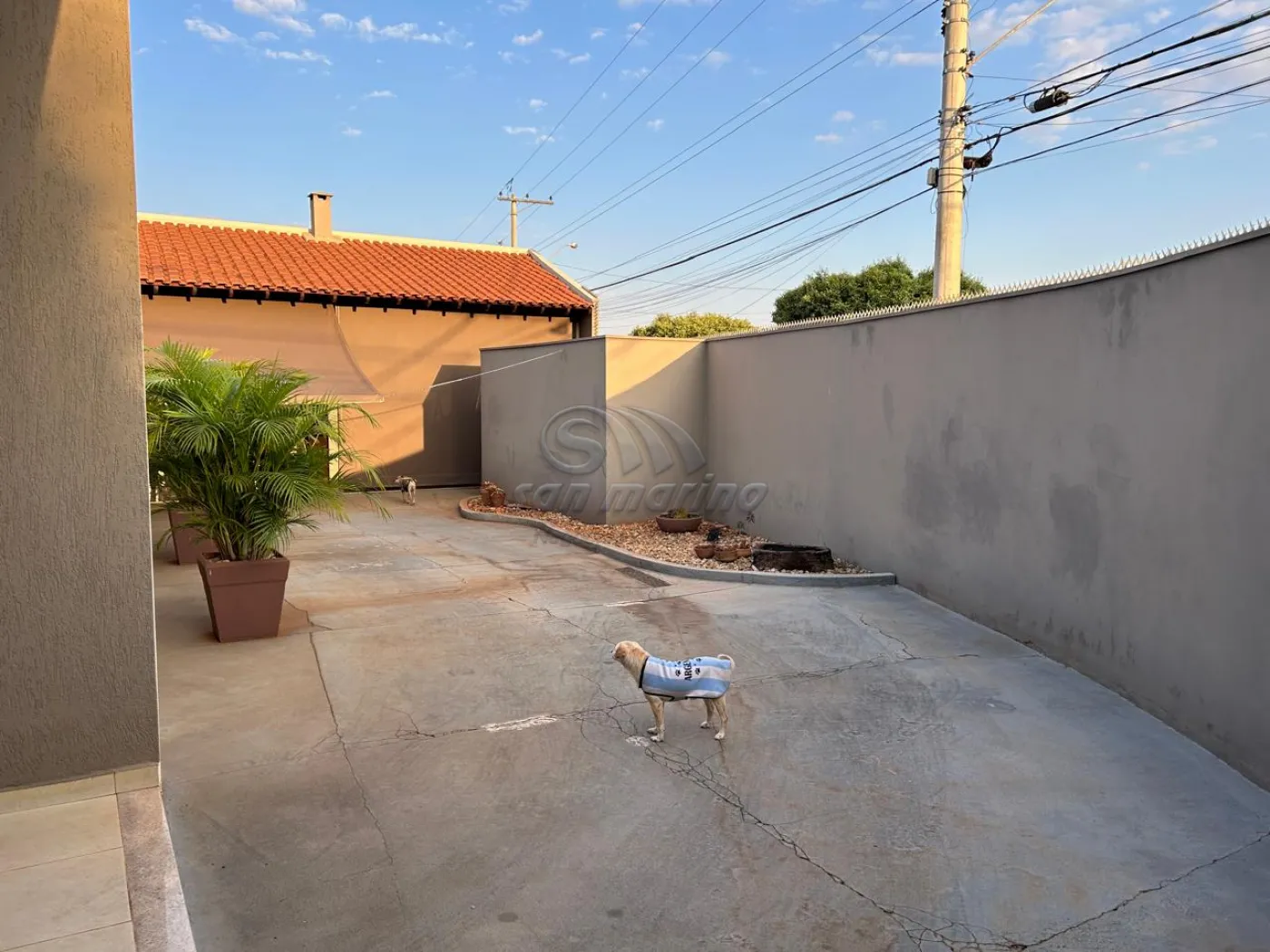 Casas / Padr&atilde;o em Jaboticabal - foto 5