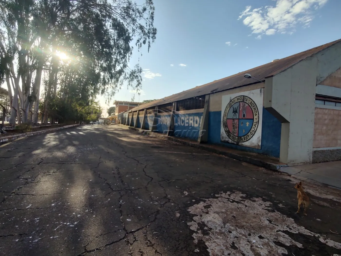 Comerciais / Pr&eacute;dio em Jaboticabal - foto 12