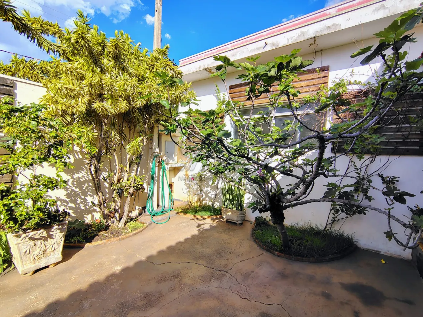 Casas / Padr&atilde;o em Jaboticabal - foto 13