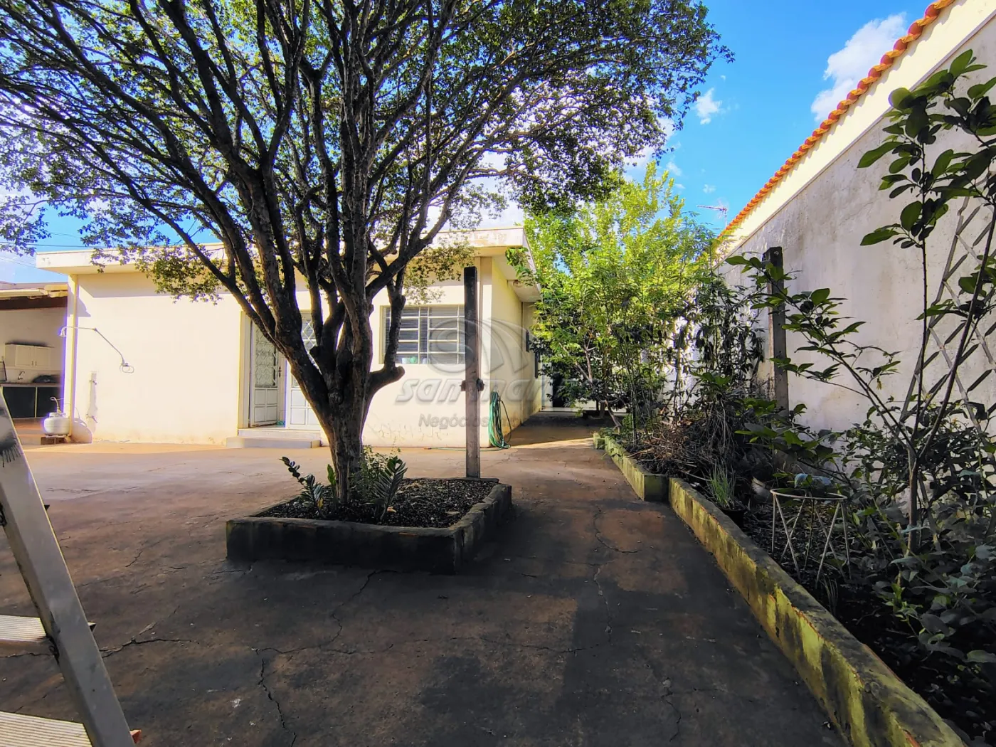 Casas / Padr&atilde;o em Jaboticabal - foto 21