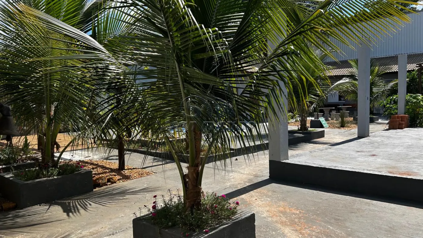 Casas / Ed&iacute;cula em Jaboticabal - foto 1