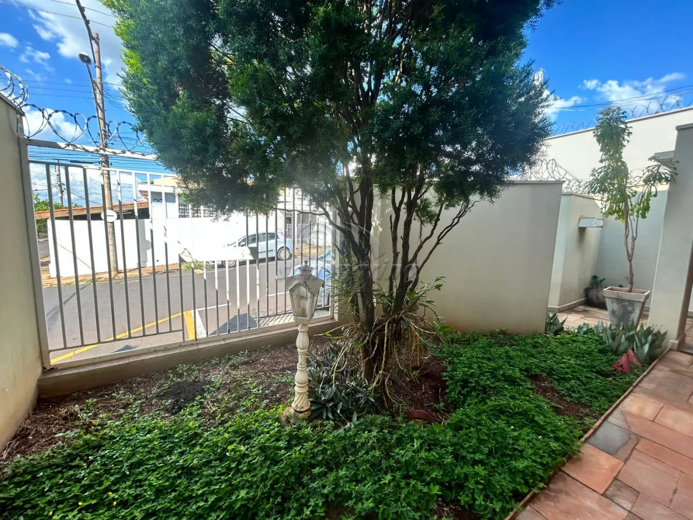 Casas / Padrão em Jaboticabal - foto 1