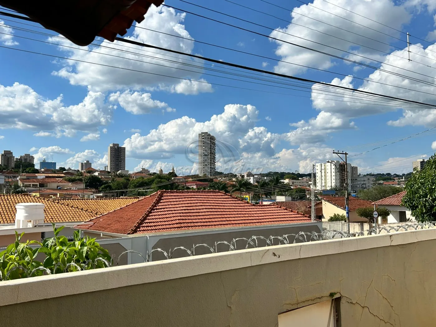 Casas / Padrão em Jaboticabal - foto 15