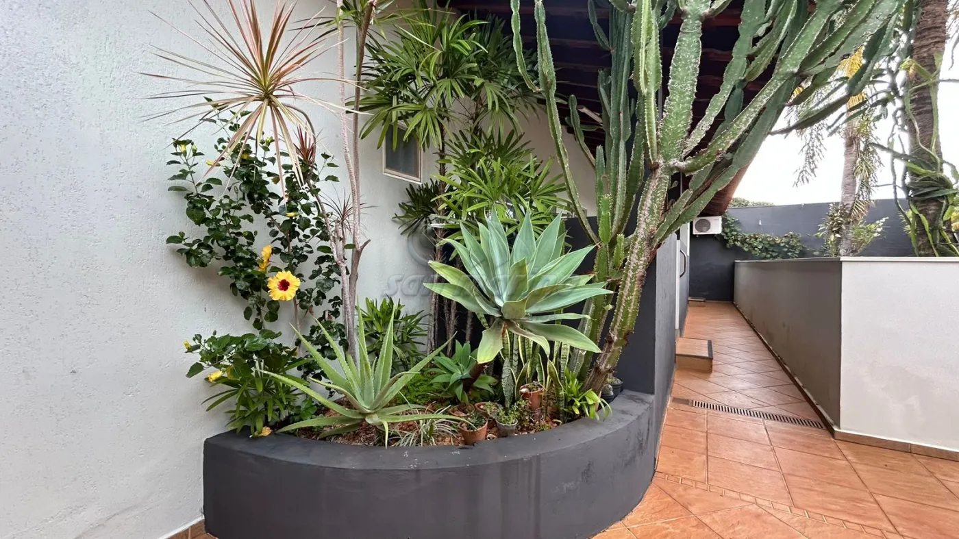 Casas / Ed&iacute;cula em Jaboticabal - foto 24