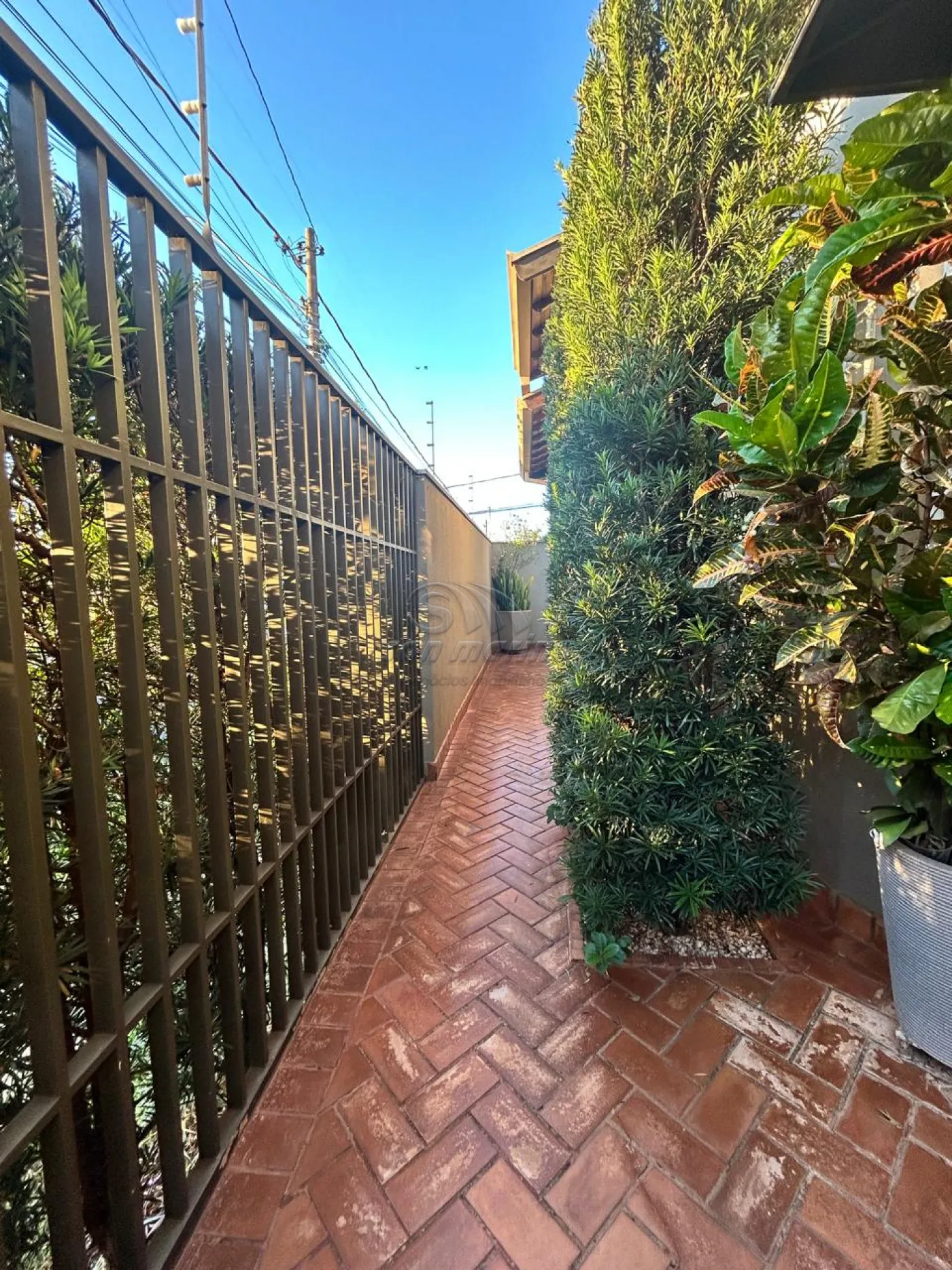 Casas / Padr&atilde;o em Jaboticabal - foto 21