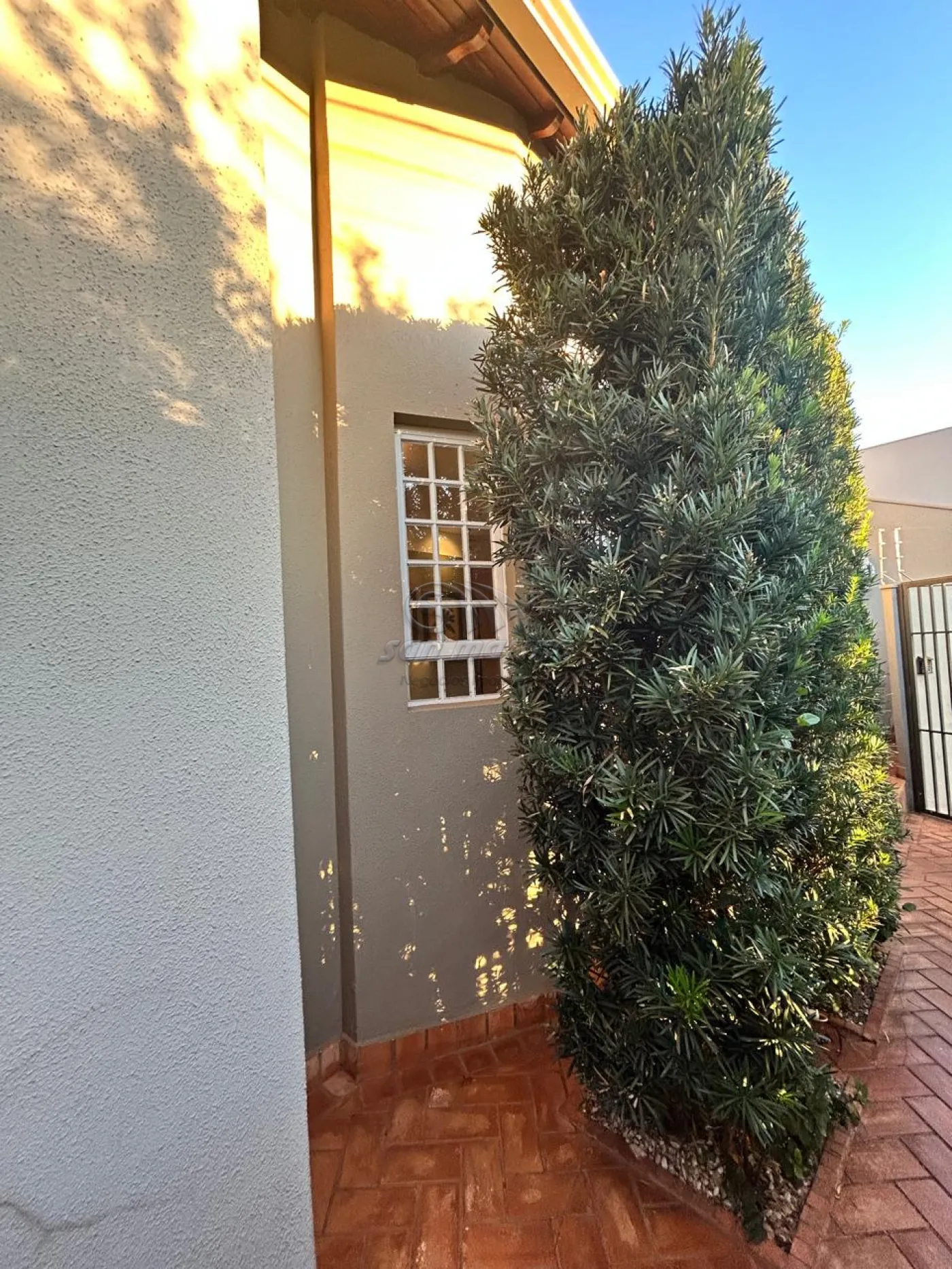 Casas / Padr&atilde;o em Jaboticabal - foto 24