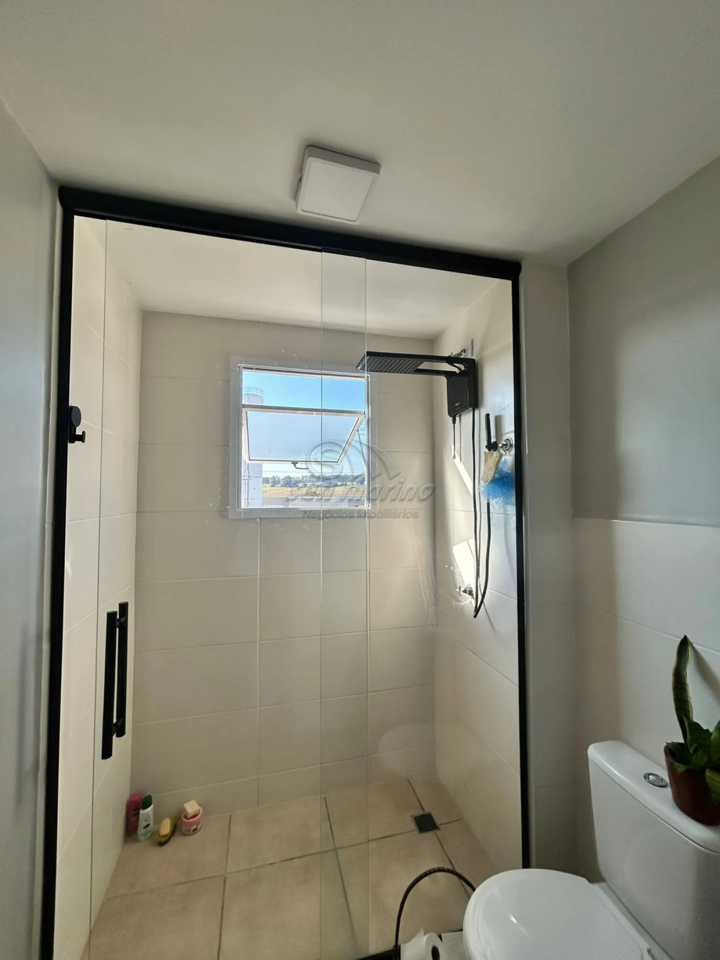 Apartamentos / Padr&atilde;o em Jaboticabal - foto 8