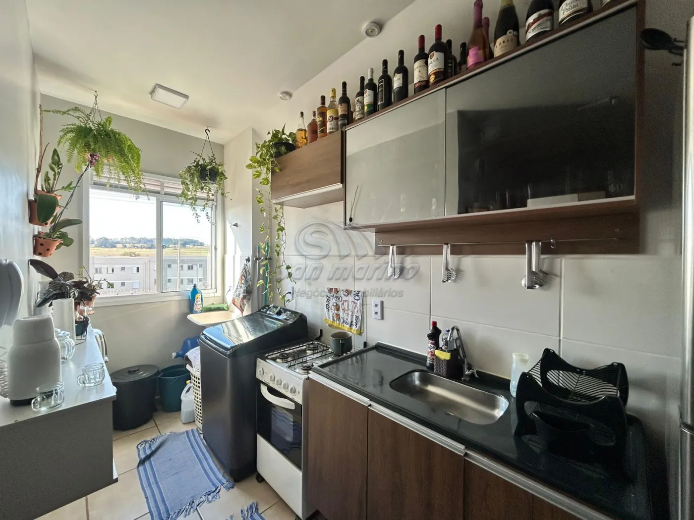 Apartamentos / Padr&atilde;o em Jaboticabal - foto 3