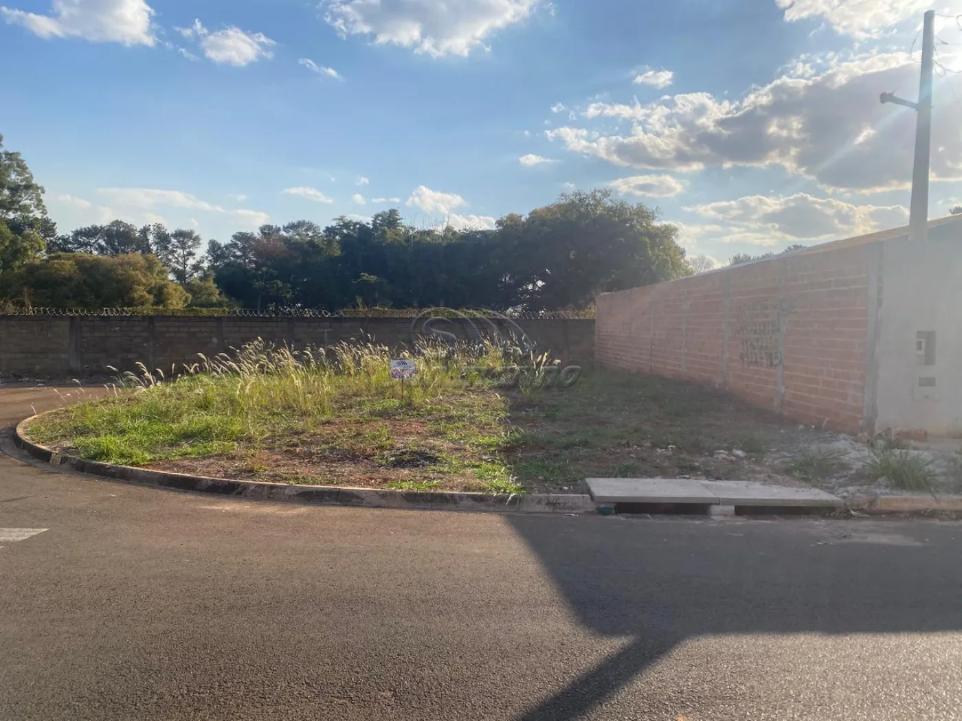 Terrenos / Misto em Jaboticabal - foto 0