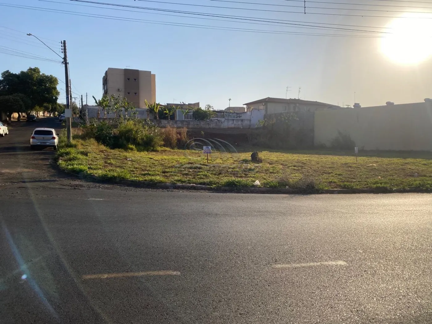 Terrenos / Comercial em Jaboticabal - foto 0