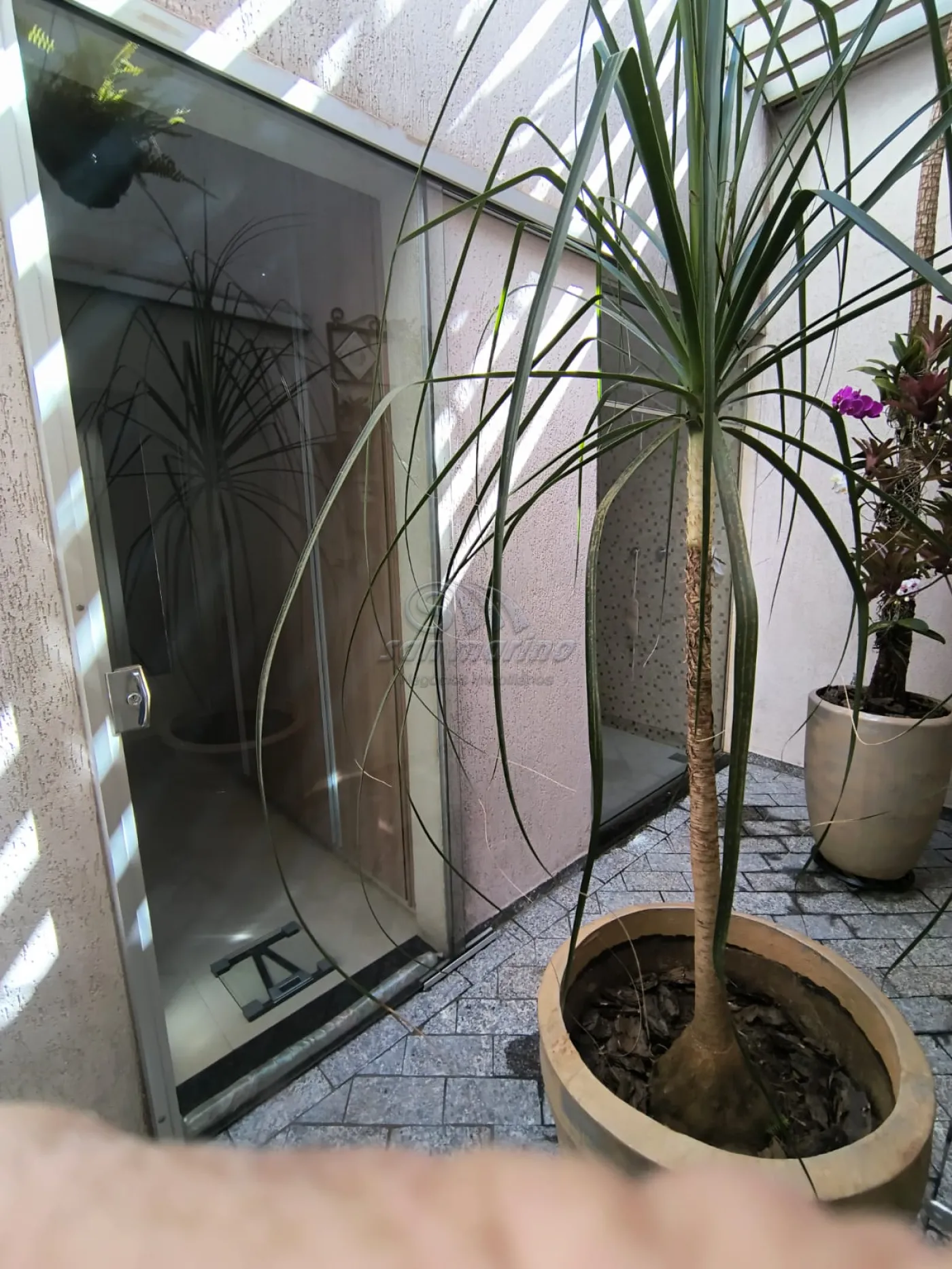 Casas / Padr&atilde;o em Jaboticabal - foto 18