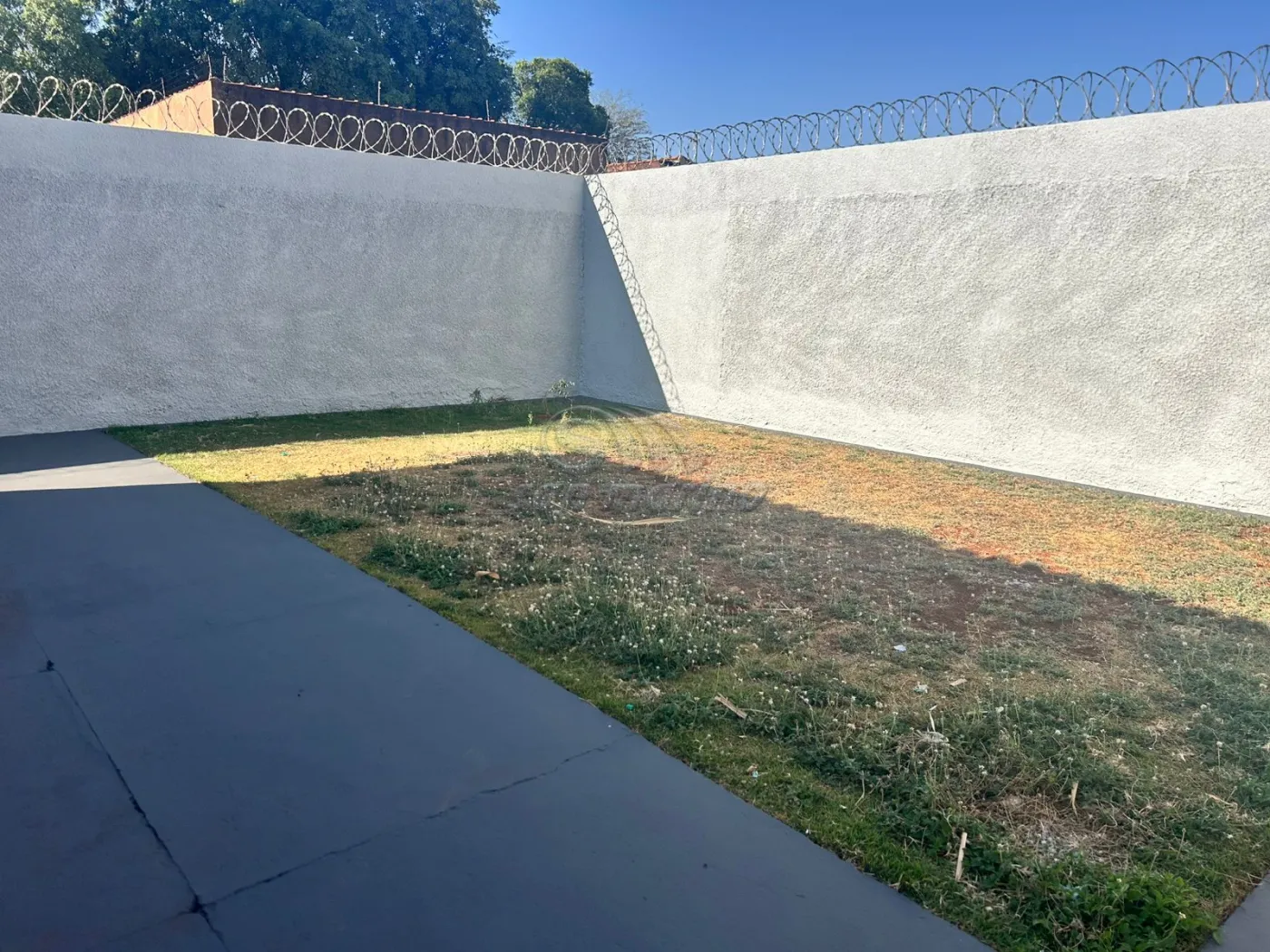 Casas / Padrão em Jaboticabal - foto 21