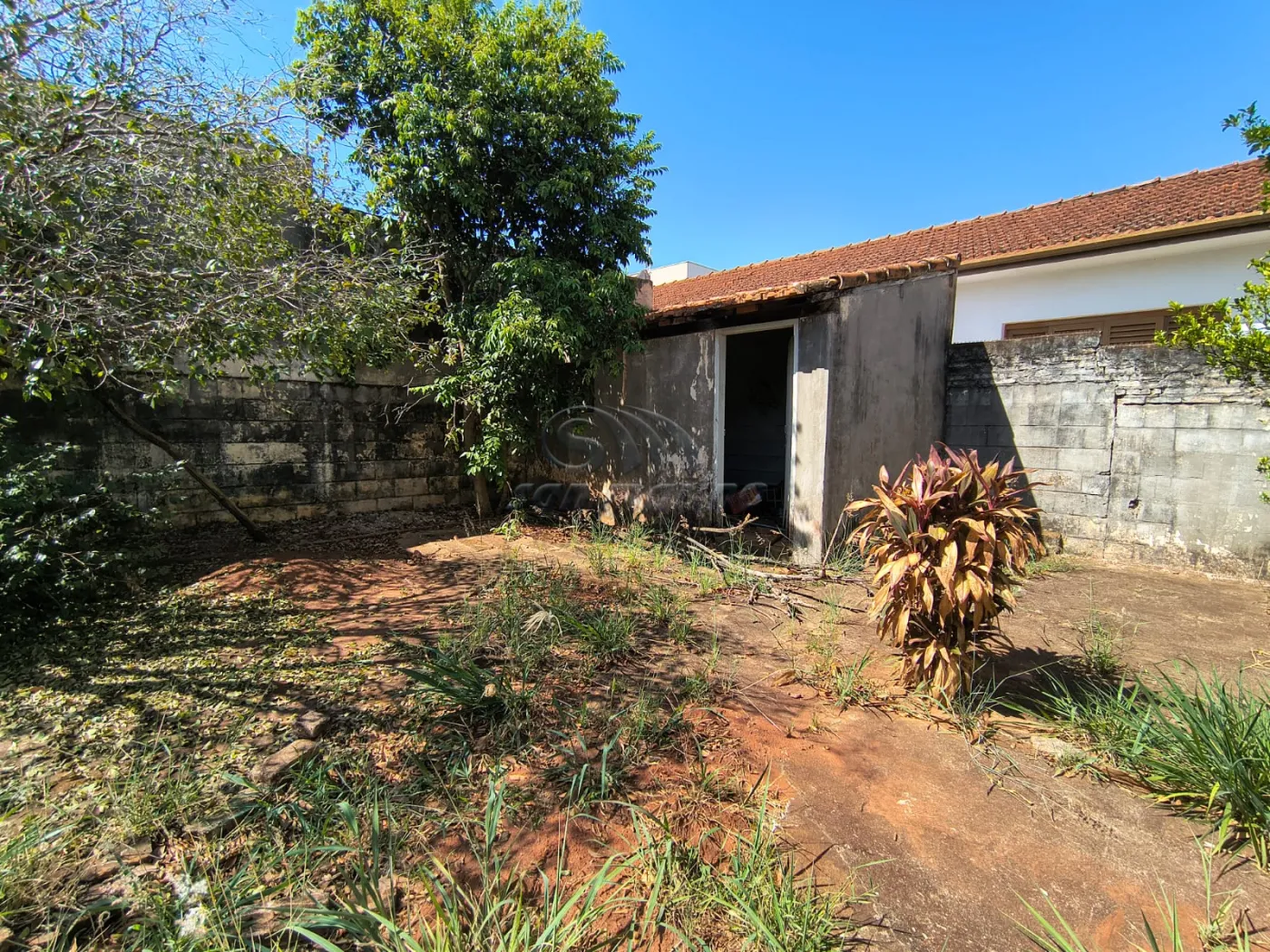 Casas / Padr&atilde;o em Jaboticabal - foto 12