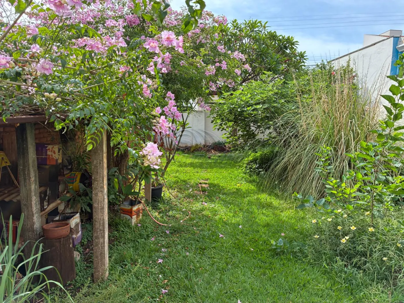 Casas / Padrão em Jaboticabal - foto 1
