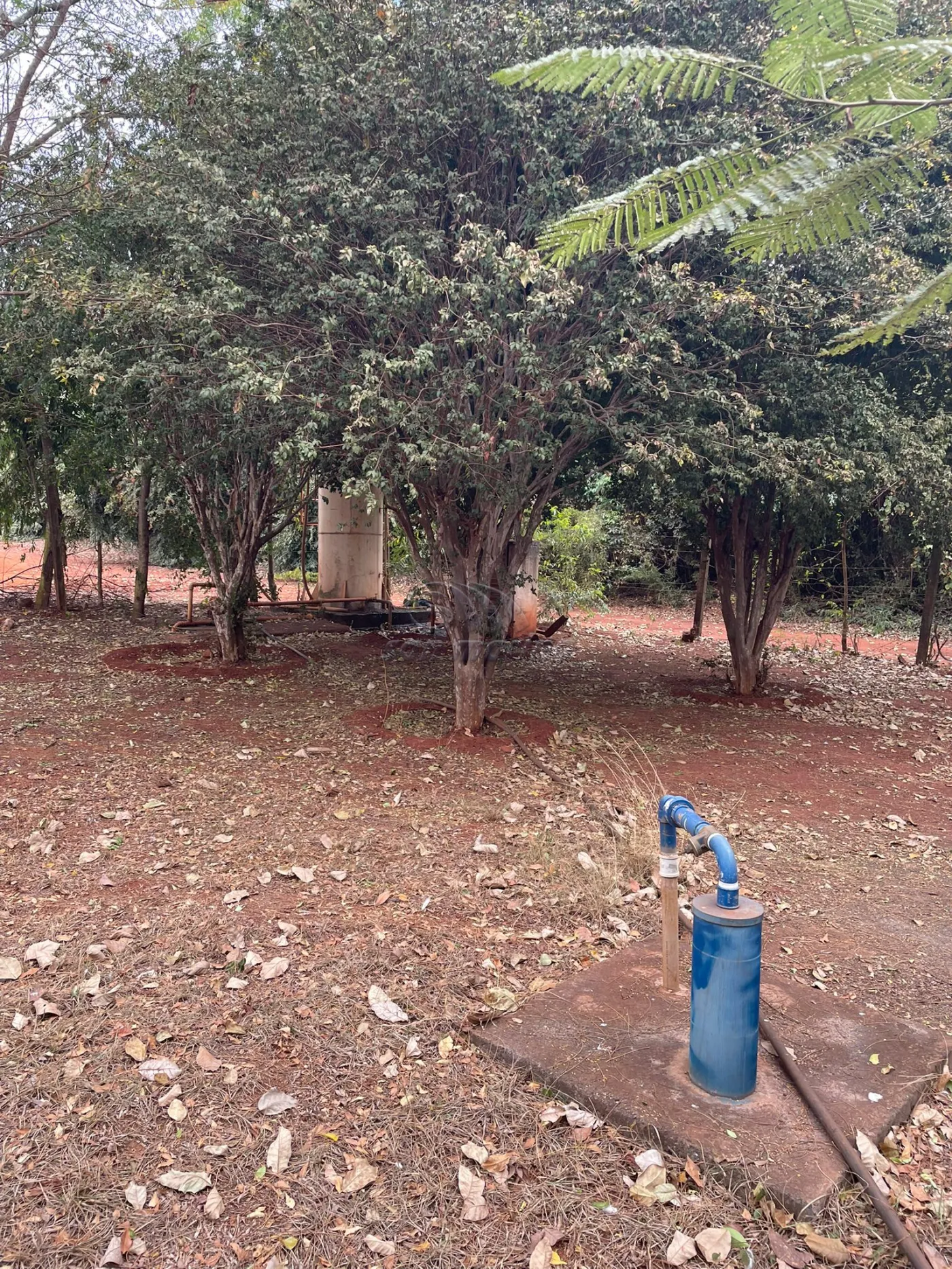 Chácaras / Rural em Jaboticabal - foto 4