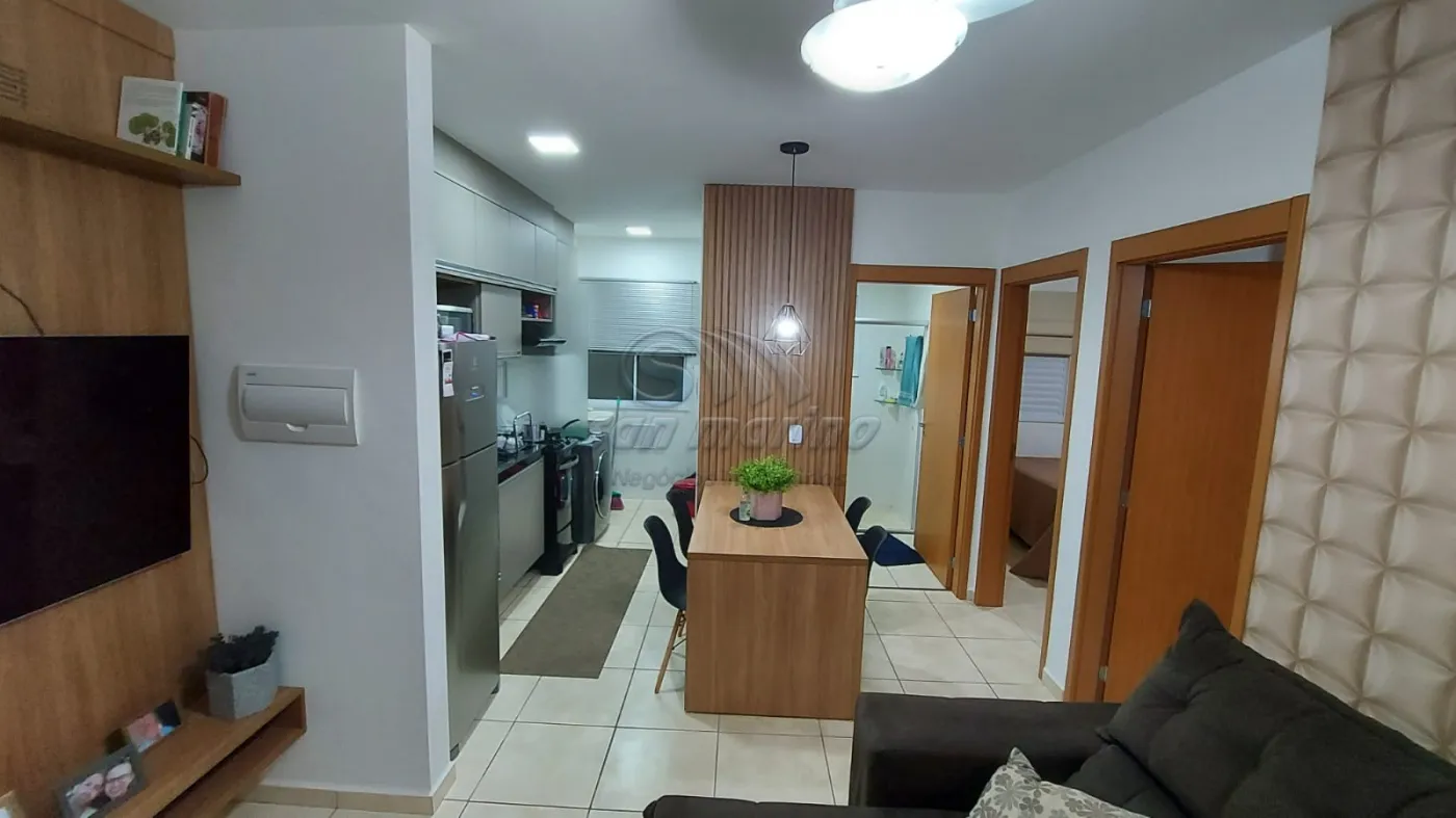 Apartamentos / Padr&atilde;o em Jaboticabal - foto 5