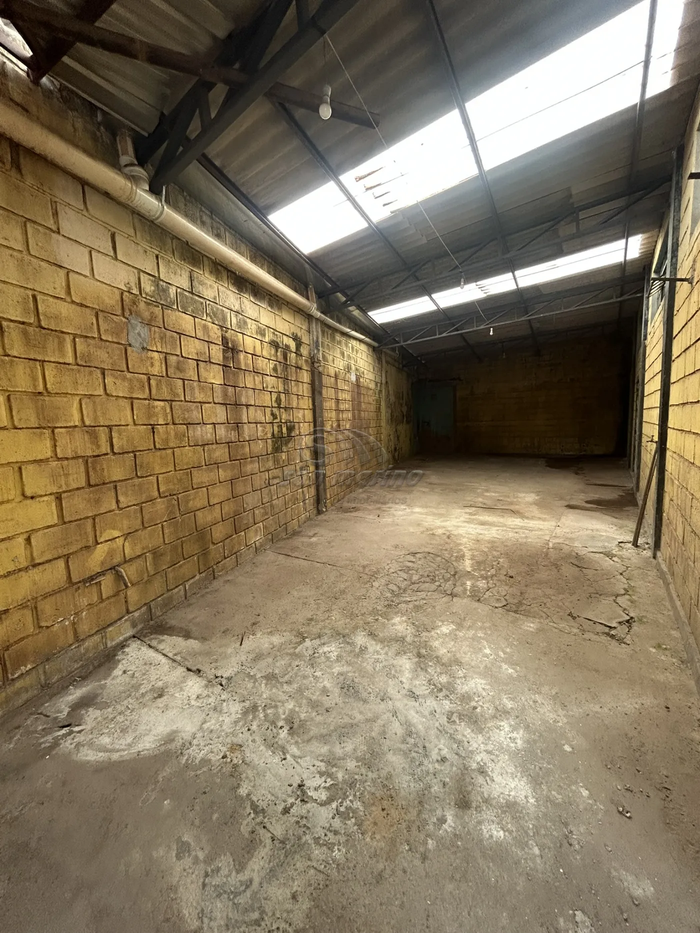 Comerciais / Fundo de Com&eacute;rcio em Jaboticabal - foto 8