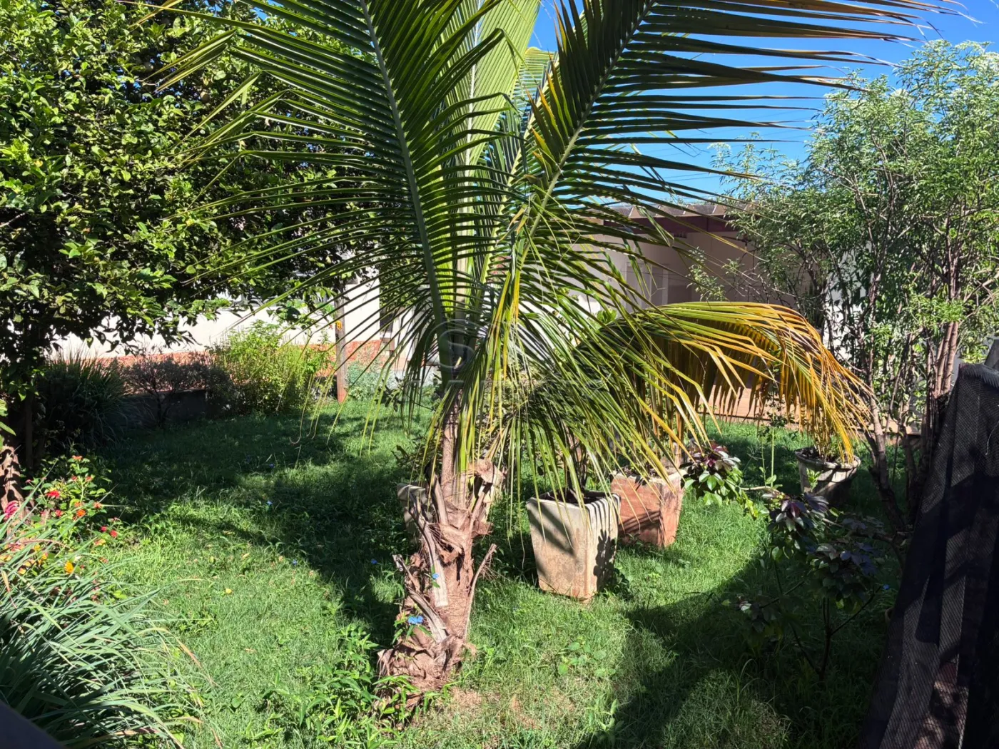 Casas / Padr&atilde;o em Jaboticabal - foto 7