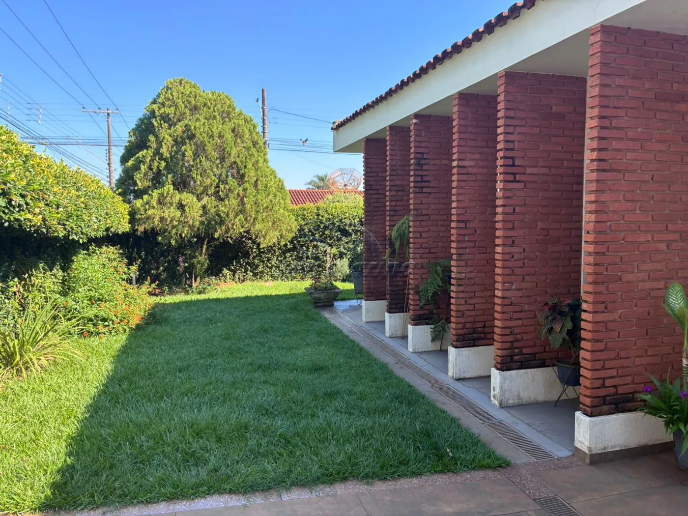 Casas / Padr&atilde;o em Jaboticabal - foto 0