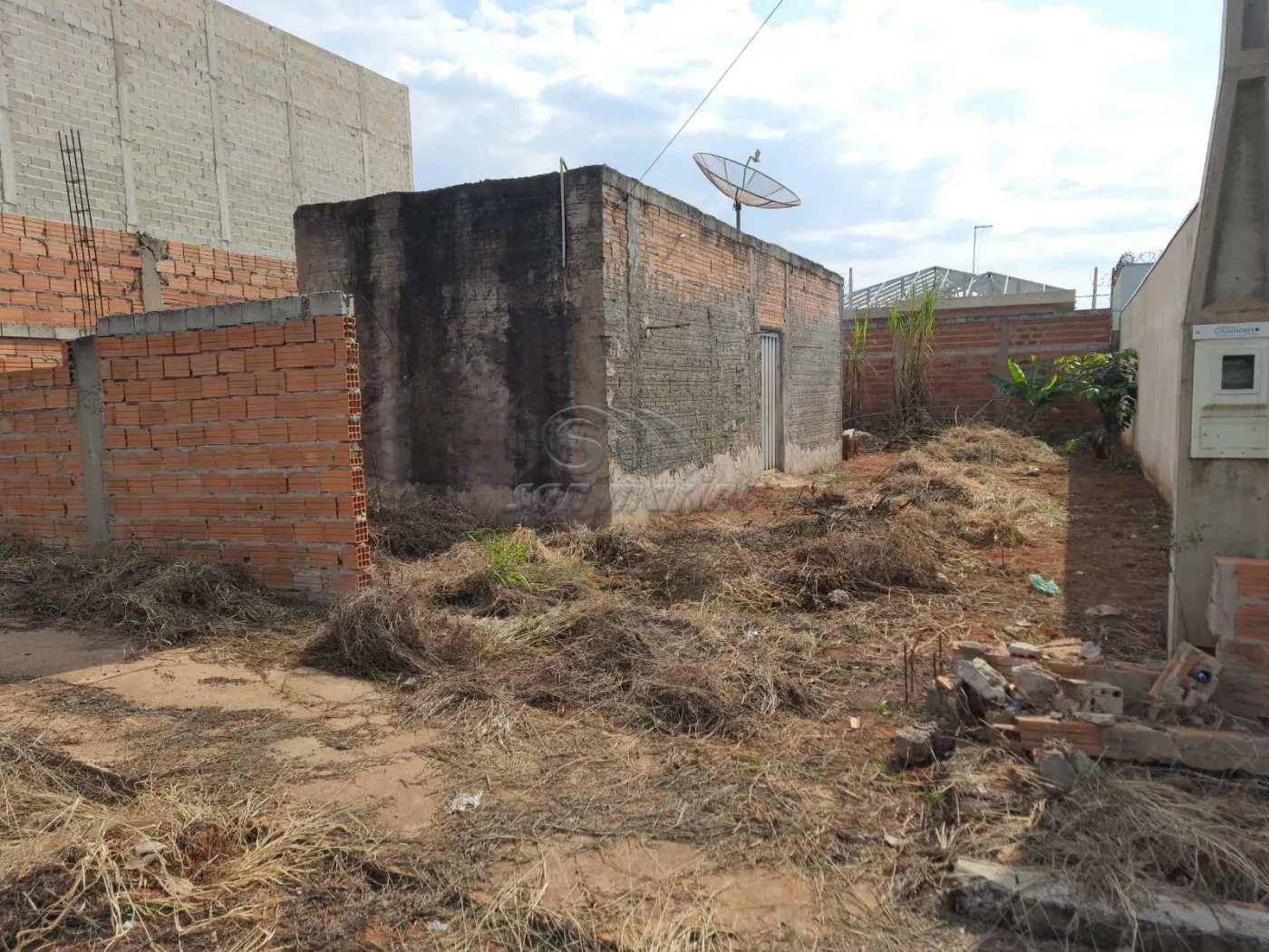 Casas / Padr&atilde;o em Jaboticabal - foto 2