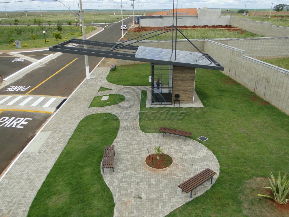 Casas / Condom&iacute;nio em Jaboticabal - foto 23