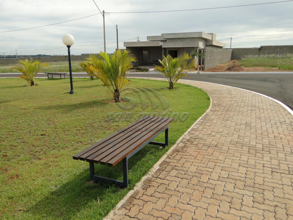 Casas / Condom&iacute;nio em Jaboticabal - foto 24