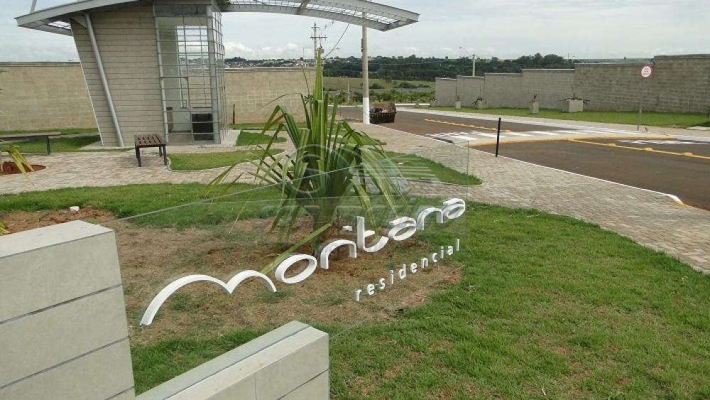 Terrenos / Condomínio em Jaboticabal - foto 3