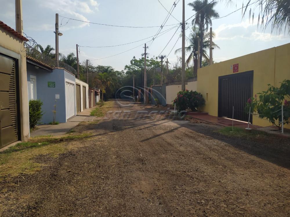 Ch&aacute;caras / Condom&iacute;nio em Jardin&oacute;polis - foto 31