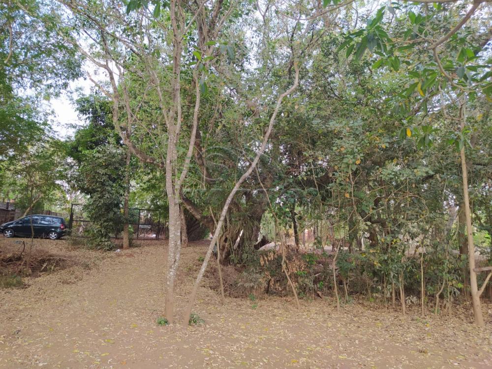 Ch&aacute;caras / Condom&iacute;nio em Jardin&oacute;polis - foto 34