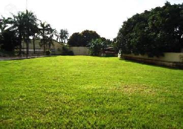 Apartamentos / Padrão em Jardinópolis - foto 10