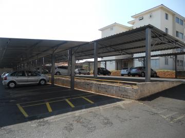 Apartamentos / Padr&atilde;o em Jaboticabal - foto 1