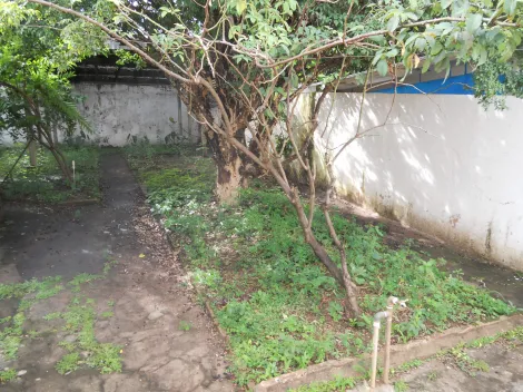 Casas / Padr&atilde;o em Jaboticabal - foto 11